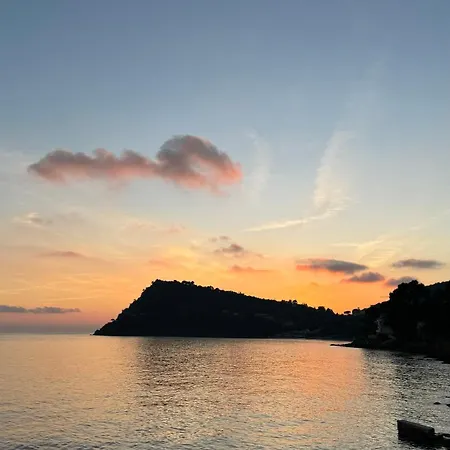 Du Plageron Pensión Le Rayol-Canadel-sur-Mer