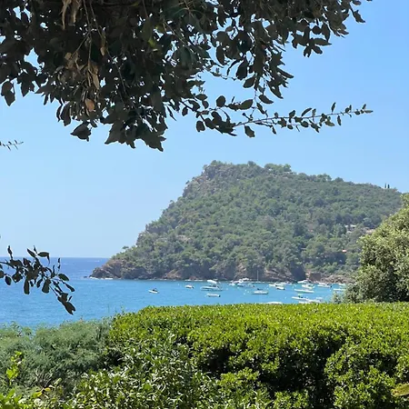 招待所 Du Plageron Le Rayol-Canadel-sur-Mer