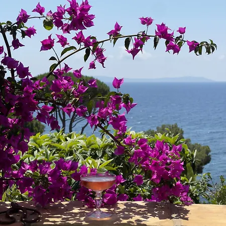 Du Plageron * Le Rayol-Canadel-sur-Mer